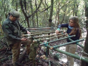 Mestre Giuliano Toniolo praticando Bushcraft